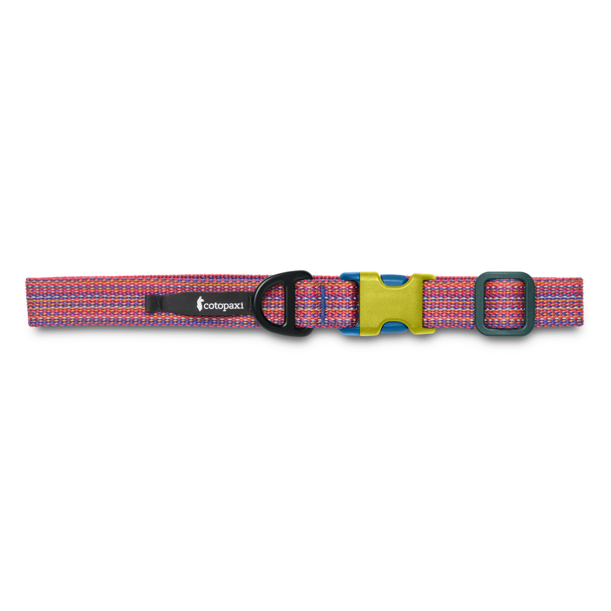 Del Día Dog Collar - Image 2